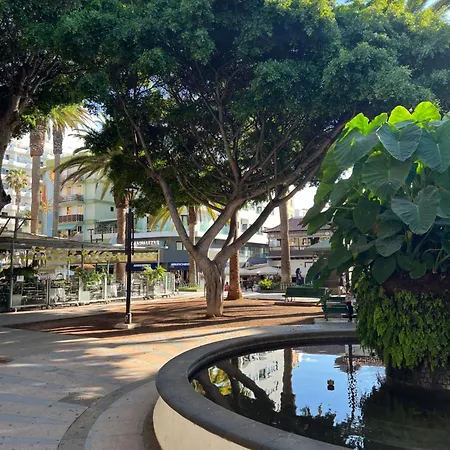 En Plaza Del Charco *